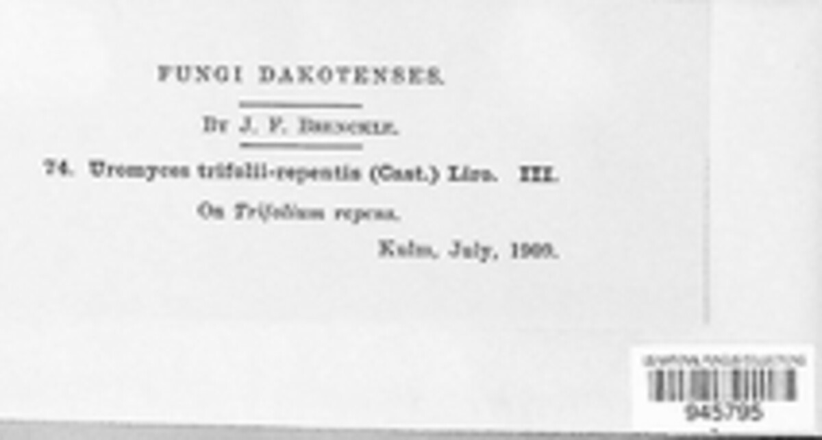 Uromyces trifolii-repentis image